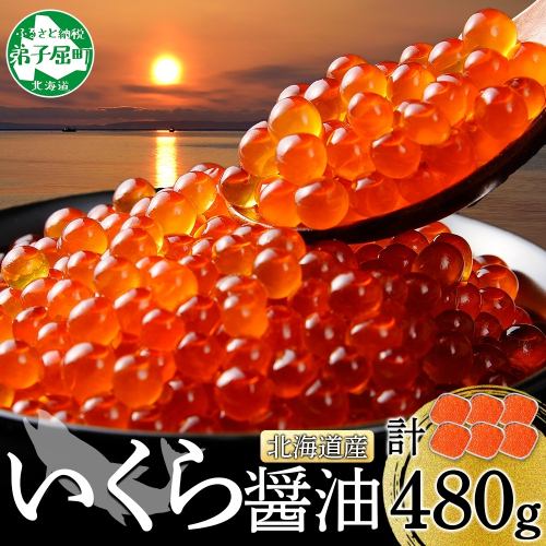 【年末配送可能 受付9月まで】3363. いくら醤油漬け 80g×6個 いくら イクラ 魚卵 魚介 海鮮 送料無料 北海道 弟子屈町 80196 - 北海道弟子屈町