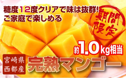 訳ありご家庭用 西都産完熟マンゴー 糖度12度以上 3～4玉入り 約1kg ＪＡ西都 アップルマンゴー ＜1.5-64＞宮崎マンゴー【先行予約】