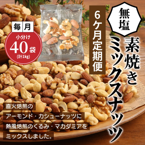 無塩の素焼きミックスナッツ　小分け40袋(計1kg)　6ヶ月定期便　 H059-155 80402 - 愛知県碧南市