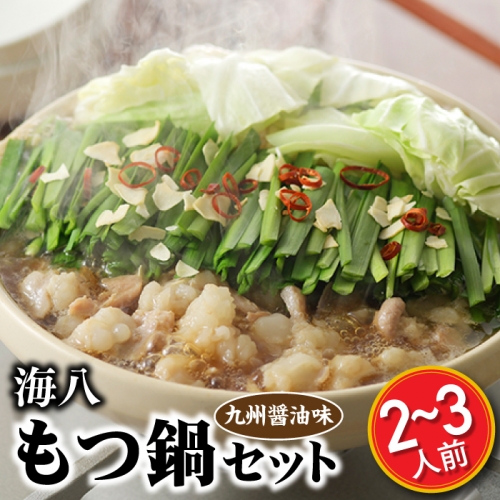 ZG150.【海八】博多九州醤油味もつ鍋セット（2～3人前）【もつ鍋・醤油味】 80591 - 福岡県新宮町