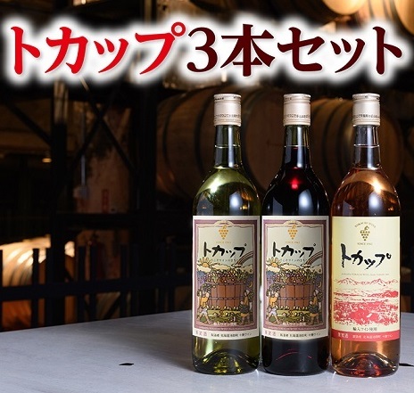 十勝ワイン トカップ3本セット（赤・白・ロゼ）国産ワイン 北海道ワイン 赤ワイン 白ワイン ロゼ セット 北海道池田町 814958 - 北海道池田町