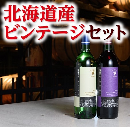 十勝ワイン 北海道産ビンテージ2本セット(（赤・白） ヴィンテージ 国産ワイン 北海道ワイン 赤ワイン 白ワイン セット 北海道池田町 815422 - 北海道池田町