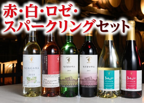 十勝ワイン赤・白・ロゼ・スパークリングセット【C001-5-3】 815748 - 北海道池田町