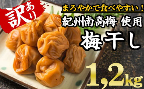 【規格外】キズ・やぶれ有り！紀州南高梅 まろやか梅干し 大容量1.2kg（600g×２パック）訳あり ご家庭用 完熟 大粒 小粒 小分け II-72
