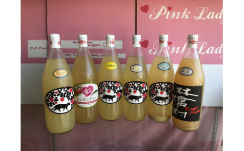 りんごジュースおまかせ６本セット