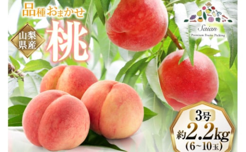 【2025年発送】訳あり もも 白鳳 or 白桃 3号 約2.2kg (6～10玉)【6月後半から順次発送】 [斎庵 山梨県 韮崎市 20742800] 桃 モモ 果物 フルーツ 山梨 期間限定 季節限定 冷蔵 農福連携 レビューキャンペーン