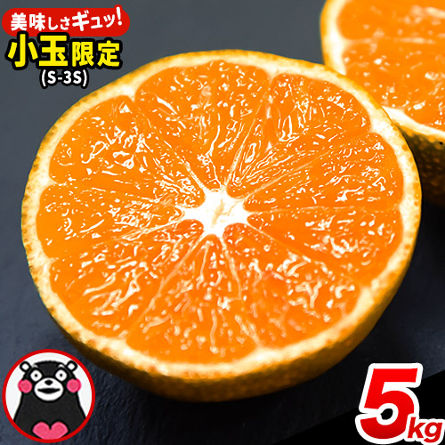 みかん 訳あり くまもと小玉みかん 5kg (2.5kg×2箱) 秋 旬 先行予約 ちょっと訳あり 不揃い 傷 ご家庭用 SDGs 小玉 たっぷり 熊本県 産 S-3Sサイズ フルーツ 旬 柑橘 長洲町 温州みかん《2025年10月中旬-12月末頃出荷》 81874 - 熊本県長洲町