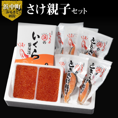 いくら醤油漬け(鮭卵)＆ときさけ輪切りの親子セット(約1kg)_H0001-036 818966 - 北海道浜中町