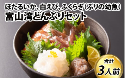 富山湾どんぶりセット 約3人前 ｜ 海鮮丼 海鮮丼の具 海鮮丼セット 数量限定 海鮮丼 冷凍 朝どれ ほたるいか ホタルイカ 刺身 海老 白えび 白エビ ふくらぎ ブリ ぶり 漬け カネツル砂子商店