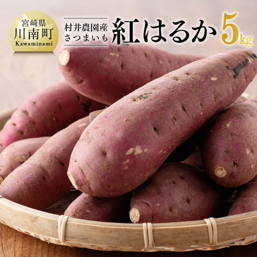 宮崎県産さつまいも　紅はるか5kg 【 宮崎県産 九州産 いも 芋 サツマイモ 野菜 】 824928 - 宮崎県川南町