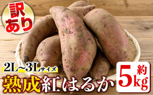 isa425 《訳あり・予約受付中！2026年1月より順次発送予定》熟成紅はるか(約5kg・2L～3Lサイズ混合) 訳あり さつまいも 紅はるか 鹿児島 生芋 完熟 長期熟成 土付き べにはるか サツマイモ 焼き芋に 【いさ工房】