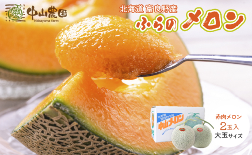 テレビで紹介されました！【2026年夏発送】北海道 富良野産 赤肉メロン 2玉 大玉サイズ (中山農園) メロン フルーツ 果物 新鮮 甘い 贈り物 ギフト 道産 ジューシー おやつ ふらの ブランド 夏  825871 - 北海道富良野市