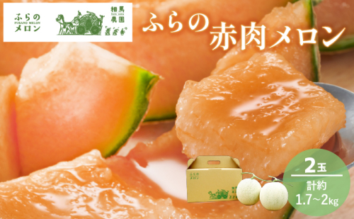 【2026年6月下旬～発送】ふらの 赤肉 メロン 2玉入 各2kg前後 北海道 富良野市 (相馬農園) メロン フルーツ 果物 新鮮 甘い 贈り物 ギフト 道産 ジューシー おやつ ふらの ブランド 夏  826035 - 北海道富良野市