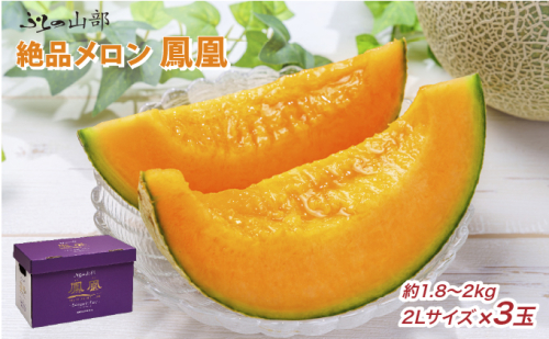 【2026年6月より順次発送】ふらの山部の絶品メロン『鳳凰』 2L（1.8～2kg）×3玉（坂口農産）メロン フルーツ 果物 新鮮 甘い 贈り物 ギフト 道産 ジューシー おやつ ふらの ブランド 夏  826044 - 北海道富良野市