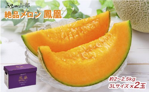 【2026年6月より順次発送】ふらの山部の絶品メロン『鳳凰』3L（2～2.5kg）×2玉（坂口農産）メロン フルーツ 果物 新鮮 甘い 贈り物 ギフト 道産 ジューシー おやつ ふらの ブランド 夏  826045 - 北海道富良野市