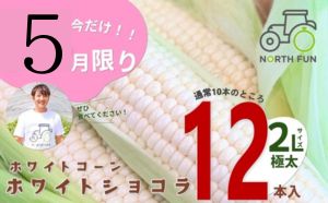 【2025年7月中旬～発送】北海道 富良野産 ホワイトコーン『ホワイトショコラ』BIG 2L サイズ 10本 とうもろこし (NORTH FUN) とうもろこし とうきび コーン 野菜 新鮮 甘い ジューシー 贈り物 ギフト 道産 直送 ふらの とうもろこし トウモロコシ 白とうもろこし ホワイト 826050 - 北海道富良野市