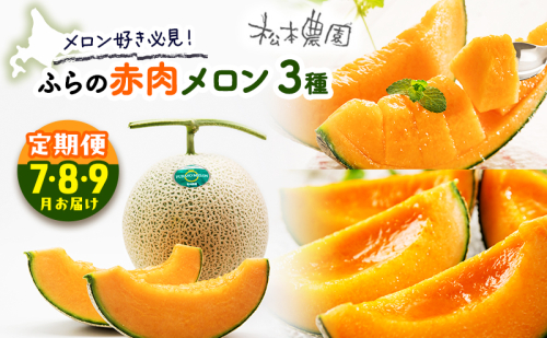 【2026年7～9月連続お届け】メロン 好き必見！ ふらの 赤肉 メロン3種 贅沢 定期便 北海道 富良野市 食べ比べ  (松本農園) メロン フルーツ 果物 新鮮 甘い 贈り物 ギフト 道産 ジューシー おやつ ふらの ブランド 夏  826079 - 北海道富良野市