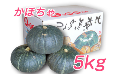 【2025年10月上旬より発送】北海道 富良野市産 かぼちゃ「ブラックのジョー」 5kg (中山農園) 野菜 新鮮 直送 いも 道産 ふらの 送料無料 数量限定 先着順 北海道 富良野市 ほくほく 秋 826087 - 北海道富良野市