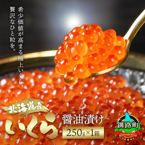 北海道産 いくら醤油漬け 250g ×1箱  | 国産 いくら いくら醤油漬 イクラ ikura 天然 鮭 サーモン 鮭卵 鮭いくら 冷凍 笹谷商店 直営 釧之助本店 10,000円 配送時期が選べる 配送 指定 配送日 選べる スピード発送 北海道 釧路町 釧路超 特産品 82863 - 北海道釧路町