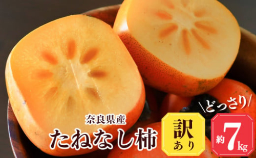 【堀うち農園】どっさり約7kg 訳あり たねなし柿 | フルーツ くだもの 果物 柿 かき カキ デザート 奈良県 五條市