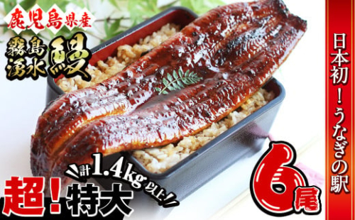 【数量限定】超特大！鹿児島県産 山田水産の霧島湧水鰻(計1400g以上・236g以上×6尾) うなぎ 鰻 ウナギ 6尾 国産 九州産 蒲焼き かばやき 冷凍 うな重 ひつまぶし タレ 山椒 人気 c7-010