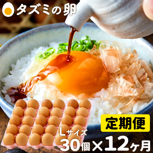 ★TVで紹介されました★【定期便】タズミの卵Ｌサイズ（30個×12ヶ月）097AB01N.／こだわり卵 市川町産 兵庫県産 たまご たまごかけご飯 玉子 生卵 鶏卵 タマゴ 卵焼き TKG 12か月 定期便 83316 - 兵庫県市川町