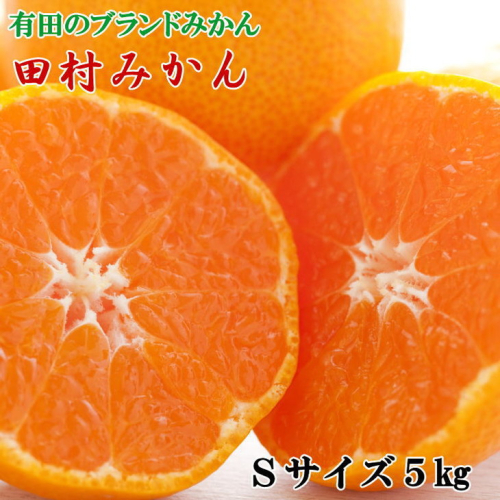 【ブランドみかん】田村みかん約5kg（Sサイズ・秀品）
※2025年11月下旬～12月下旬頃に順次発送予定 835229 - 和歌山県美浜町