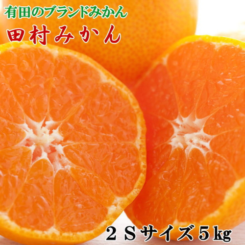 【ブランドみかん】田村みかん約5kg（2Sサイズ・秀品）
※2025年11月下旬～12月下旬頃に順次発送予定 835230 - 和歌山県美浜町