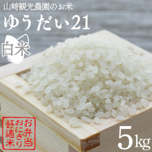 米 5kg 白米 「ゆうだい21」 ＼先行予約／ 山崎観光農園 栃木県 益子町 ふるさと納税 お米 ゆうだい21 白米 精米 5キロ 令和7年産 先行予約 10月配送 (AU006) 836274 - 栃木県益子町