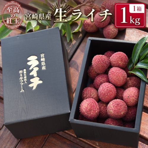 宮崎県産 生ライチ「至高の紅玉」計1kg ≪2026年6月下旬～発送≫ 人気 国産 希少 果物 旬 ギフト プレゼント【C365-26】 836635 - 宮崎県新富町
