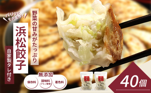 浜松餃子 40個 (20個×2袋) セット 詰め合わせ 餃子のたれ 小袋 知久屋 国産 ぎょうざ 餃子 ギョーザ 冷凍餃子 冷凍ギョーザ 工場直送 ヘルシー あっさり 惣菜 中華 点心 静岡 静岡県 浜松市 【配送不可：離島】 838807 - 静岡県浜松市