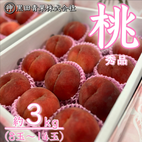 山形産 白桃 秀 3kg(8玉~14玉) 【令和7年産先行予約】FU23-315 841196 - 山形県山形市