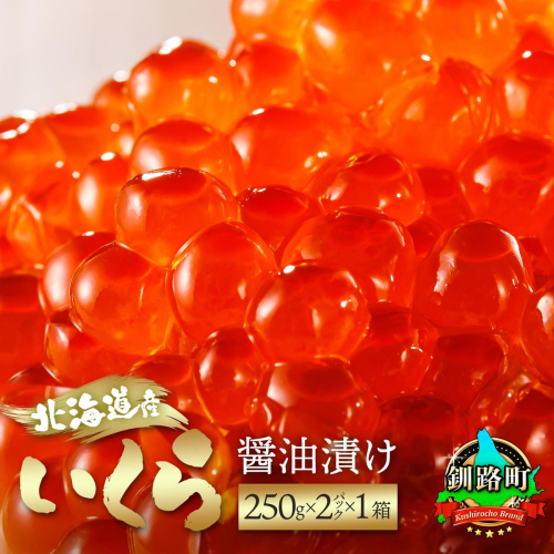 北海道産 いくら醤油漬け 500g（250g ×2パック） 発送時期が選べる | 国産 いくら いくら醤油漬 イクラ ikura 天然 鮭 サーモン 鮭卵 鮭いくら 冷凍 笹谷商店 直営 釧之助本店 スピード発送 北海道 釧路町 釧路超 特産品 84210 - 北海道釧路町