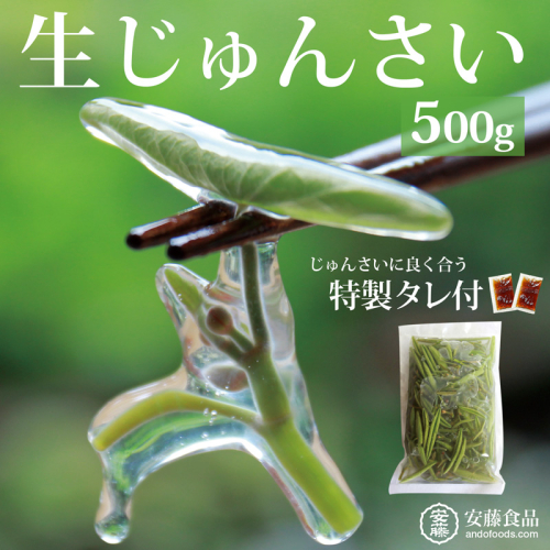 生じゅんさい500g ゆずタレ２個 《冷蔵》（2025年5月上旬頃～7月下旬までに発送予定） 令和7年産 2025年産 先行受付  秋田県産 三種町産 842921 - 秋田県三種町