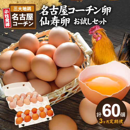 【3ヶ月定期便】名古屋コーチン卵・仙寿卵お試しセット（各10個入り）×3回（計各30個） [006K02-T] 844141 - 愛知県小牧市