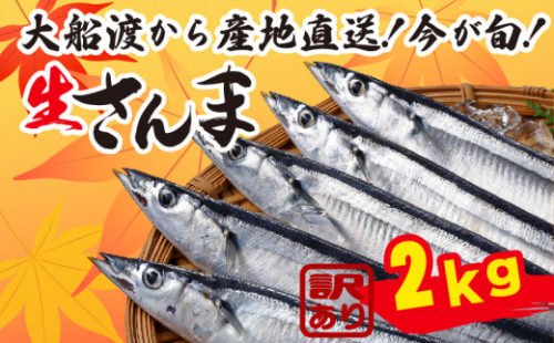 【2025年先行予約】訳ありさんま2kg ★2025年9月～発送予定★  Sashimi FISH 魚 新鮮 ごはん 夕飯 おかず おつまみ 晩酌 米 丼 海産物 海鮮 魚介 魚介類 大船渡 三陸 岩手県 国産         