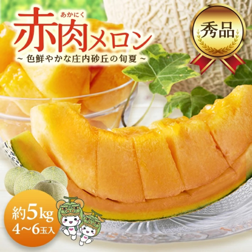 SA2582　庄内砂丘の旬夏 「秀品 赤肉メロン」　約5kg(4～6玉入) 845387 - 山形県酒田市