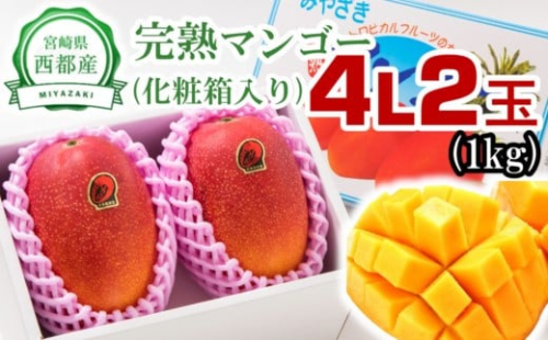 【大玉4Lサイズ2個】宮崎県西都市産 完熟マンゴー 糖度12度以上 特大サイズ【先行予約】＜1.5-178＞宮崎マンゴー 果物 フルーツ 甘い