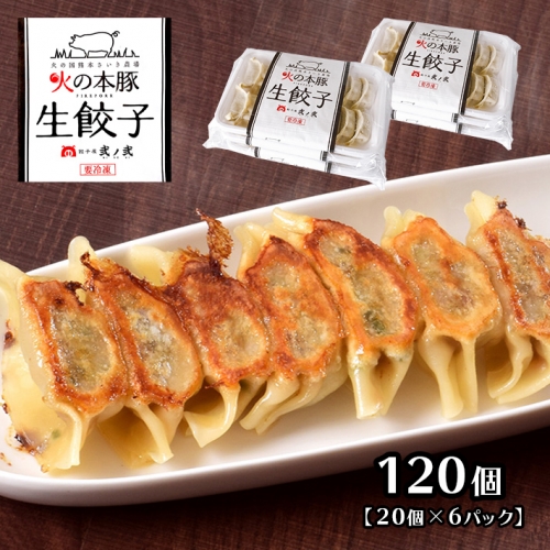 火の本豚餃子 （20個×6パック）120個入 | 熊本県 熊本 くまもと 和水町 なごみ 豚肉 火の本豚 地域ブランド ギョウザ ぎょうざ 20個 6パック 120個 冷凍餃子 847565 - 熊本県和水町
