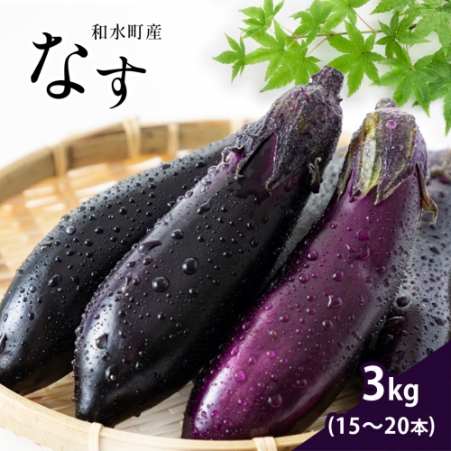 なす 3kg 和水町産 野菜 5月下旬~発送いたします | 熊本県 熊本 くまもと 和水町 なごみまち なごみ なす ナス 茄子 なすび 野菜 季節の野菜 季節限定 847732 - 熊本県和水町