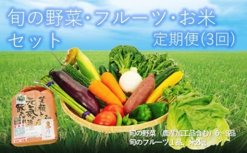 【定期便3回】旬の野菜(6～8品)・フルーツ・お米セット  | 熊本県 熊本 くまもと 和水町 なごみまち なごみ 野菜 果物 米 季節の果物 季節の野菜 詰め合わせ セット 定期便 定期 3回 847776 - 熊本県和水町