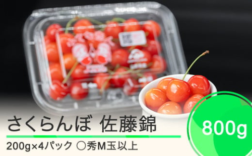 さくらんぼ 佐藤錦 ◯秀 M玉以上 200g×4パック 計800g フードパック 2025年産 令和七年産果物 フルーツ 山形県産  ja-snpmx8
