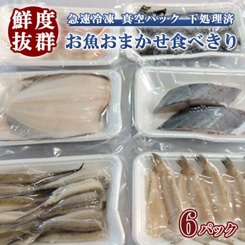 鮮度抜群！お魚おまかせ食べきり６パック・下処理加工してあるので解凍してすぐに調理できます。
※着日指定不可
※北海道・沖縄・離島への配送不可 848443 - 愛知県美浜町