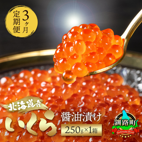 【定期便 3ヶ月連続】北海道産 いくら醤油漬け 250g ×1箱 小分け | 国産 いくら いくら醤油漬 しょう油 しょうゆ イクラ ikura 小分け 天然 鮭 鮭卵 鮭いくら 魚卵 冷凍 定期便 魚介類 海鮮 絶品 人気 一人暮らし おかず 笹谷商店 直営 釧之助本店 高級 ギフト 贈答用 贈答品 北海道 釧路町 釧路超 特産品 250-01 848453 - 北海道釧路町