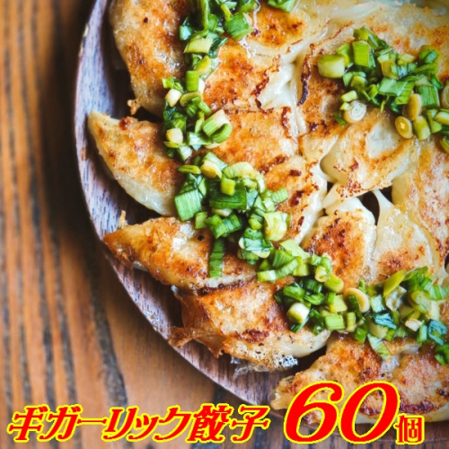 パワーみなぎる！ギガーリック餃子 60個入【特製葉にんにくのたれ付】 848657 - 青森県三戸町