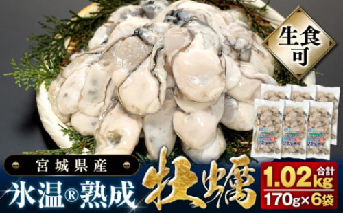 宮城県産 かき 氷温熟成 牡蠣 生食用（冷凍）170g × 6袋 約1kg 生食 むき身 小分け むき カキ 冷凍かき 宮城 小分け 冷凍 バラバラ冷凍 冷凍カキ かき 牡蠣 海鮮 魚介 貝類 海の幸 BBQ 家庭用 まるたか水産 宮城県 石巻市 石巻応援