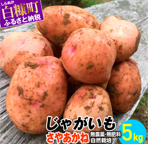 じゃがいも（さやあかね）無農薬・無肥料・自然栽培・北海道産【5kg】 84978 - 北海道白糠町