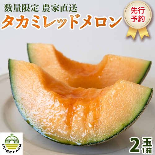 【 令和7年産 】【 先行予約 】タカミレッドメロン 秀品 1箱 2玉入り 飯岡 メロン 貴味 タカミ 赤肉 果物 フルーツ 甘い [CG002ya] 852928 - 茨城県八千代町