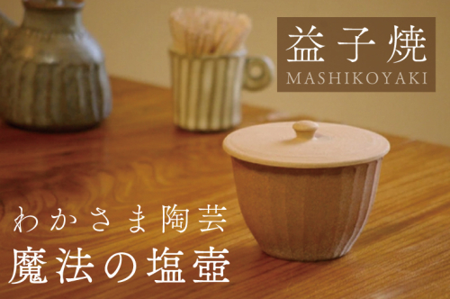 益子焼 魔法の塩壺 わかさま陶芸 電子レンジ可 食洗器可 塩壺 スプーン付き(BJ009) 853050 - 栃木県益子町
