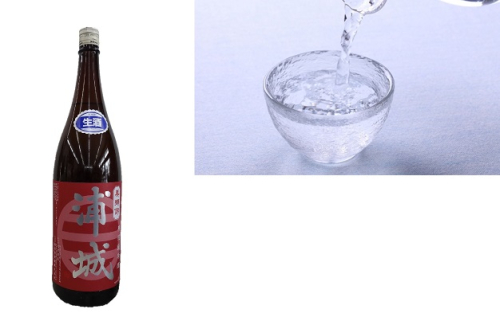 【生酒】純米吟醸無濾過原酒「赤浦城」720ml×1 お酒 日本酒 純米吟醸酒  85370 - 秋田県五城目町